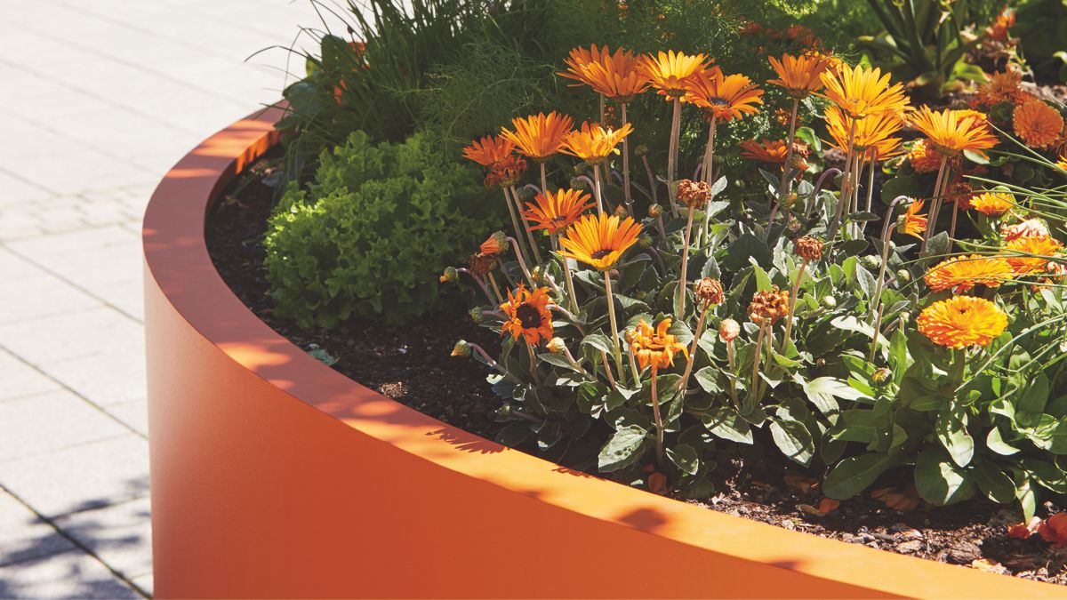 Mobile Baumkübel BERN mit umlaufendem Rand, farbbeschichtet orange
